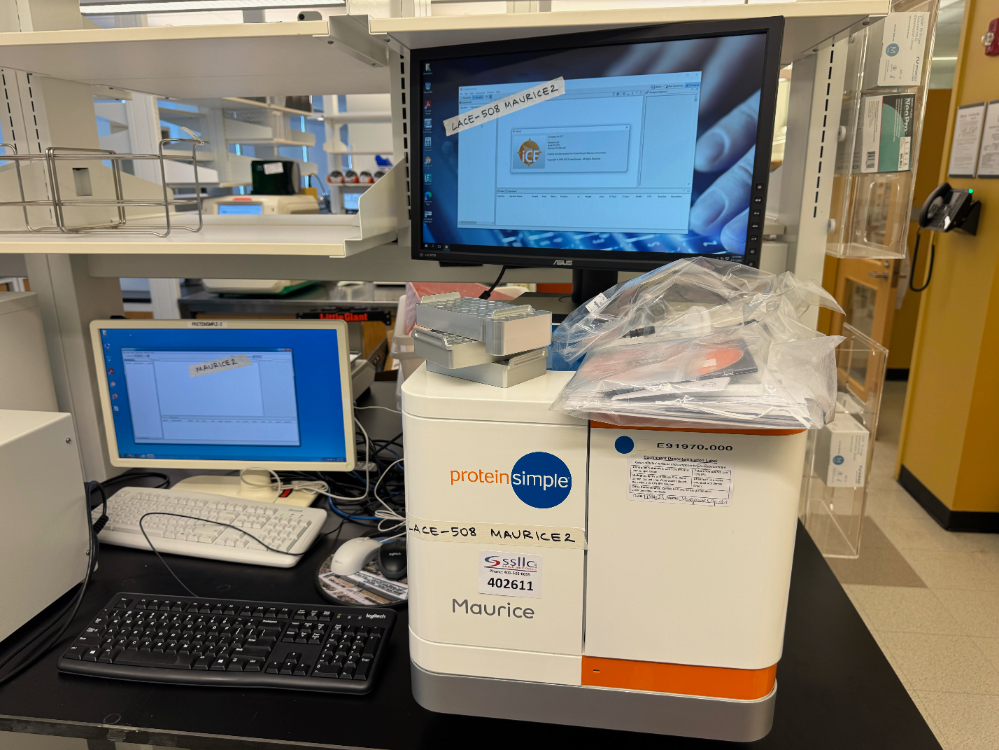 Image of ProteinSimple Maurice Capillary Electrophoresis Instrument